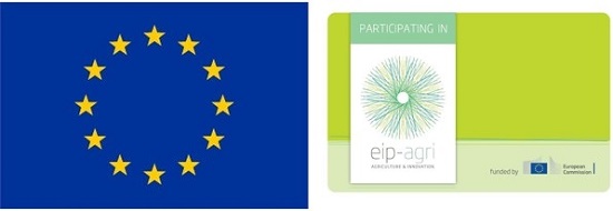 Logo EU und EIP